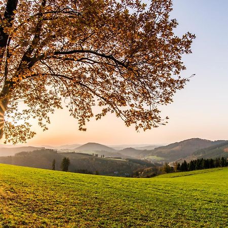 Sauerland Alpin Hotel Schmallenberg Esterno foto