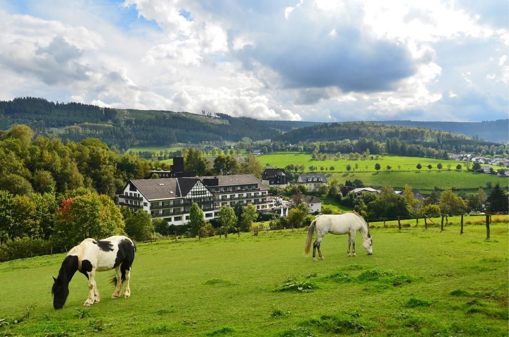 Sauerland Alpin Hotel Schmallenberg Esterno foto