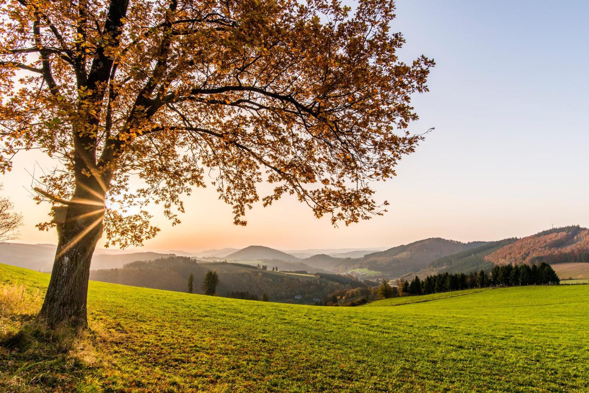 Sauerland Alpin Hotel Schmallenberg Esterno foto