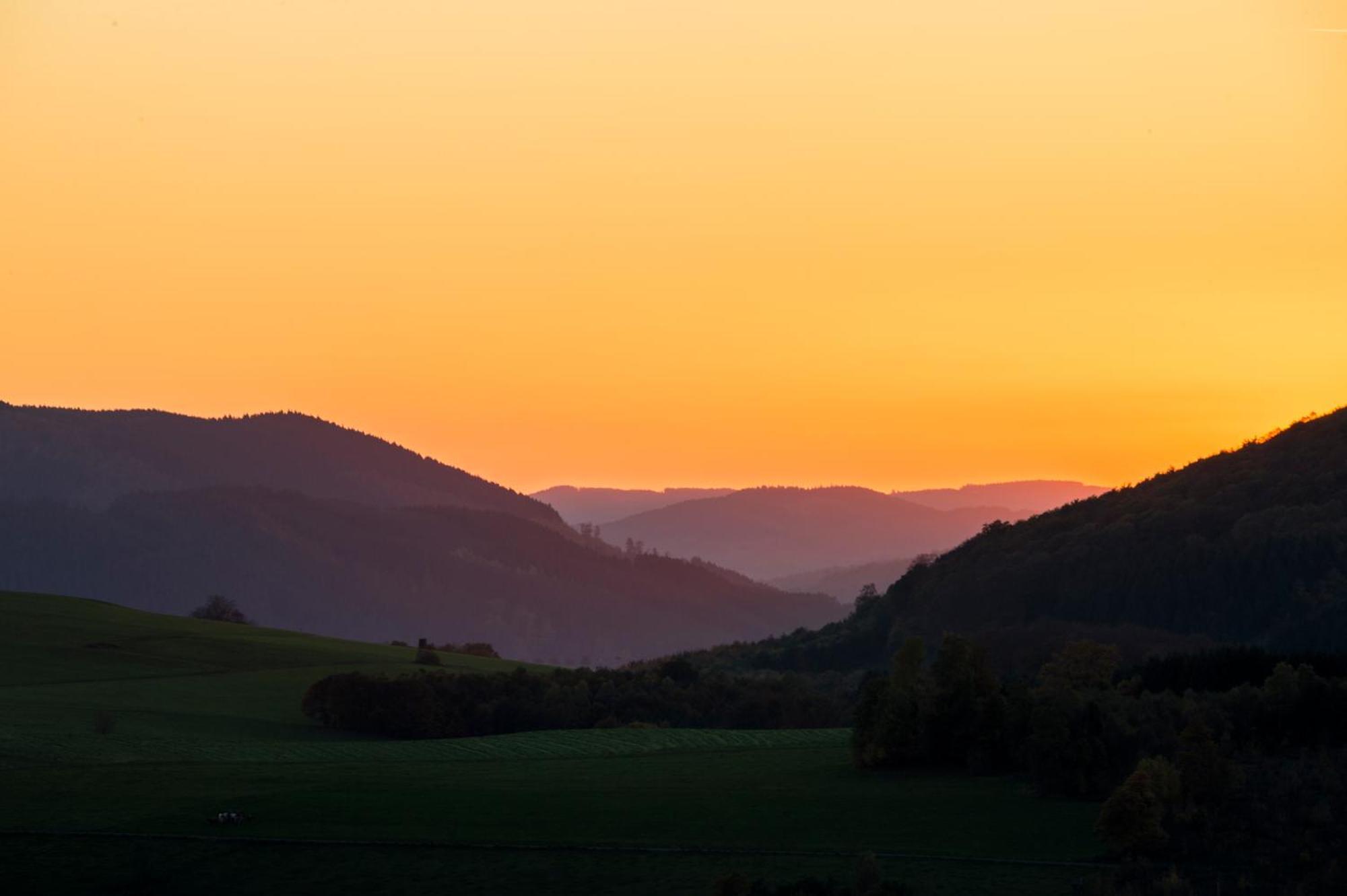 Sauerland Alpin Hotel Schmallenberg Esterno foto